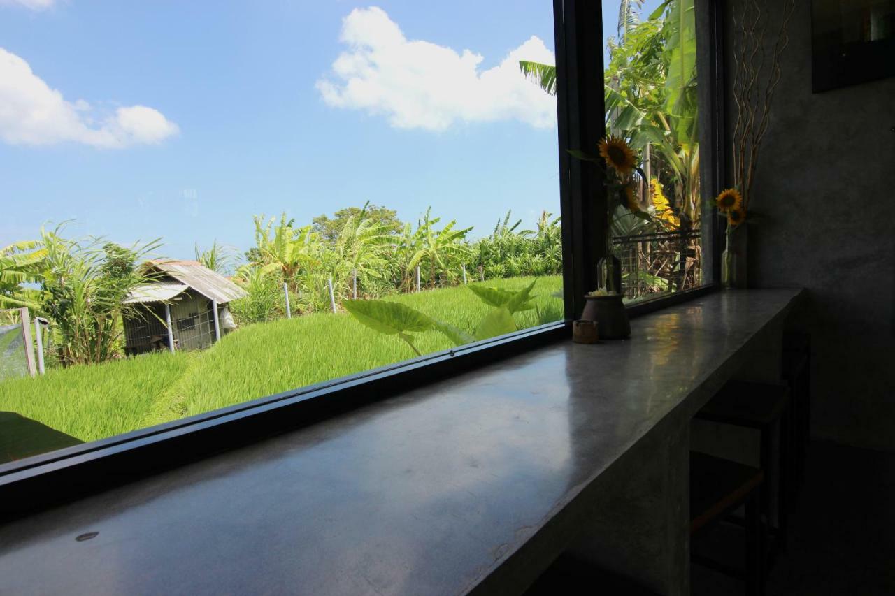 De Vir House Apartment Canggu Екстериор снимка