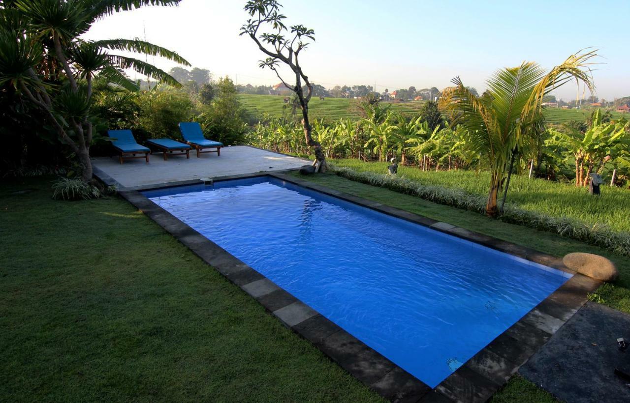 De Vir House Apartment Canggu Екстериор снимка