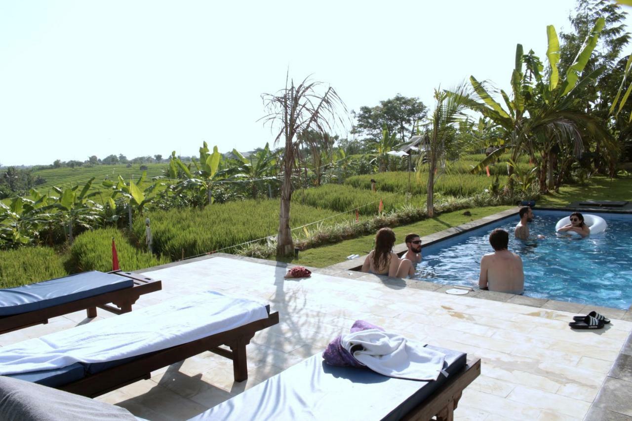 De Vir House Apartment Canggu Екстериор снимка